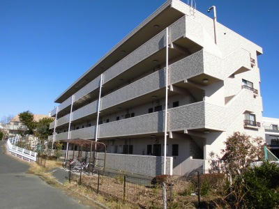 写真あり